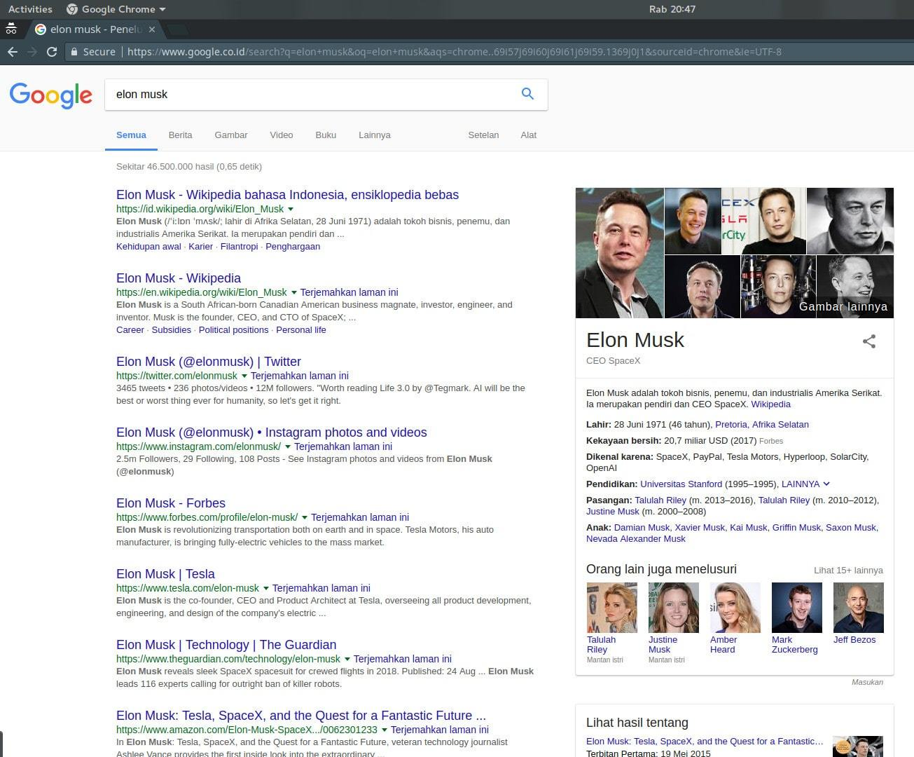 Elon musk search result